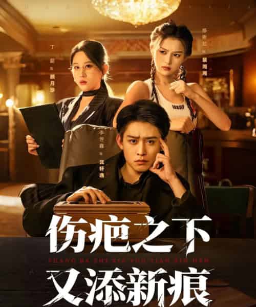 伤疤之下又添新痕（60集全）李世鑫＆丁磊-紫橙资源网