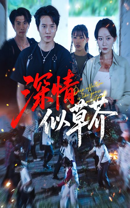 深情似草芥(51集全)源鑫&王瀚迎-紫橙资源网