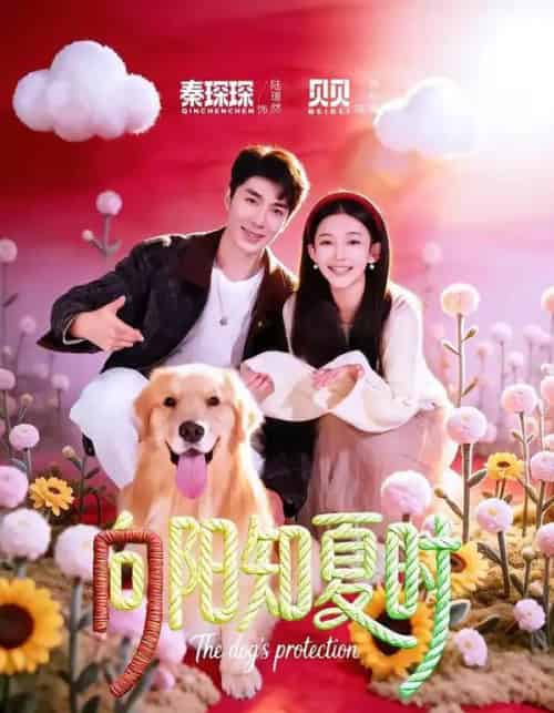 向阳知夏时（80集全）秦琛琛＆贝贝-紫橙资源网