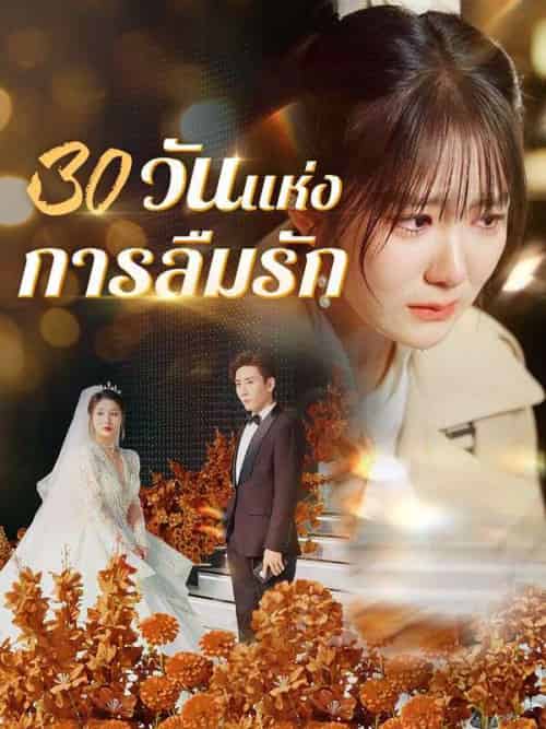 30 วันแห่งการลืมรัก（50集全）กานต์＆＆ปิ่น-紫橙资源网