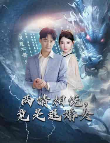 刁蛮退婚女，师姐帮我报大仇＆两情相悦，竟是退婚女（81集）-紫橙资源网