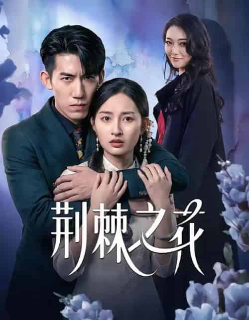 荆棘之花（100集全）杨可忻＆范哲宇-紫橙资源网