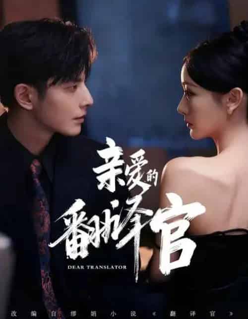 亲爱的翻译官（60集全）孙露鹭＆何聪睿＆温晴-紫橙资源网