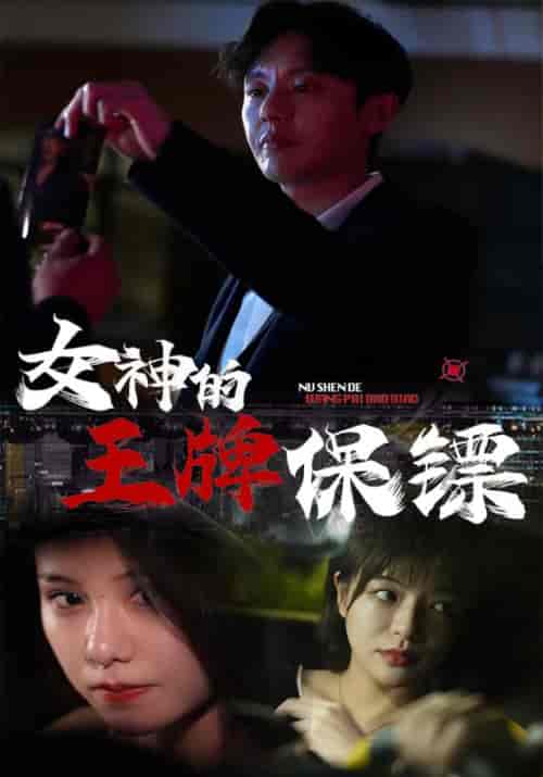 女神的王牌保镖（100集全）钟铭＆文雪莱-紫橙资源网