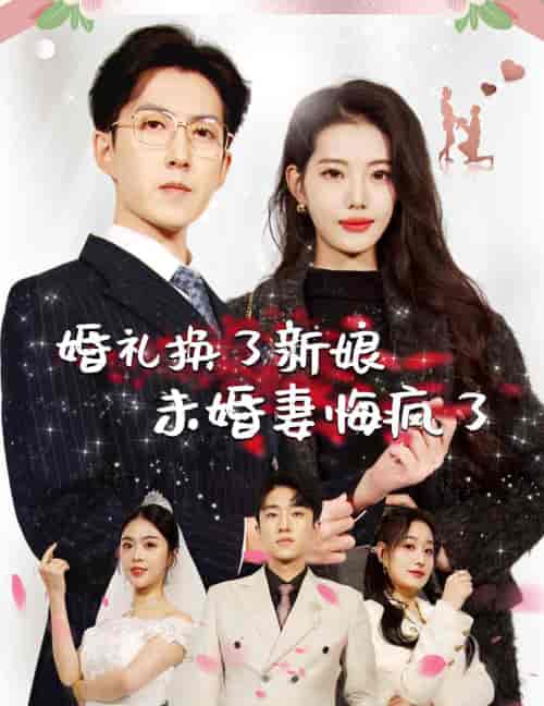 婚礼换了新娘未婚妻悔疯了（30集全）-紫橙资源网
