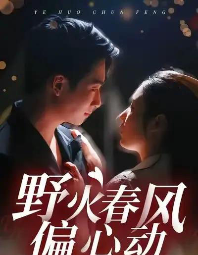 野火春风偏心动（36集全）周瑾阳＆冯璇-紫橙资源网
