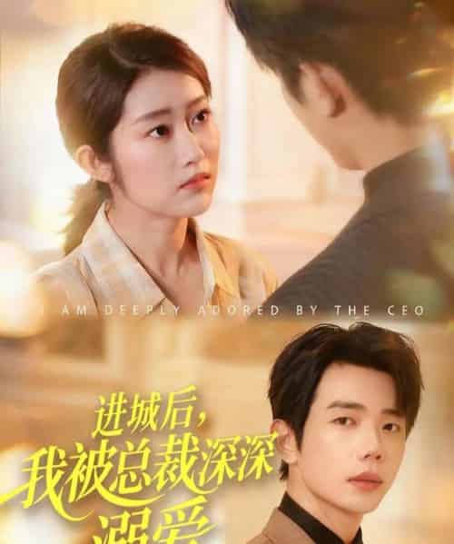 进城后，我被总裁深深溺爱（109集全）何连飞＆崔馨心-紫橙资源网