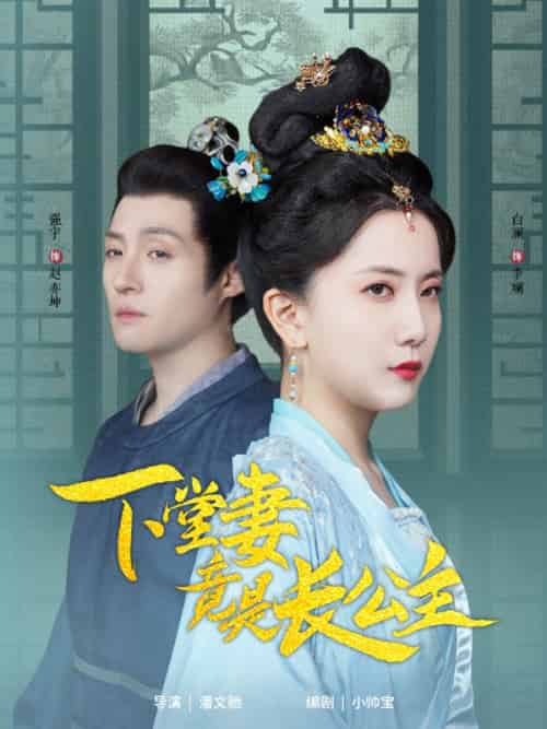 下堂妻竟是长公主（74集全）-紫橙资源网