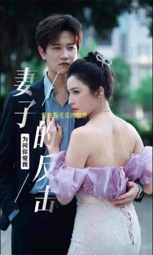 新版：妻子的反击（38集）-紫橙资源网