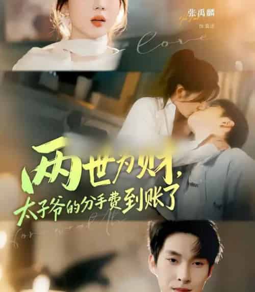 两世为财,太子爷的分手费到账了(61集全)徐兰迪&张禹麟-紫橙资源网