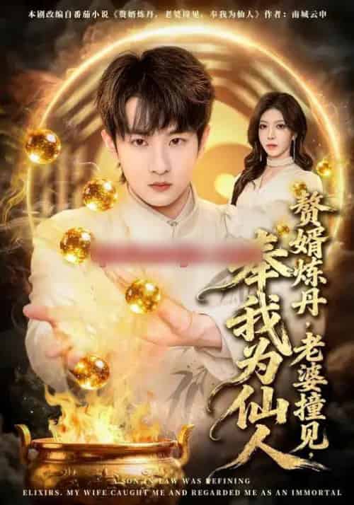 赘婿炼丹,老婆撞见,奉我为仙人(59集全)童家豪&李伊琳-紫橙资源网