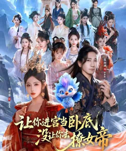 让你进宫当卧底，没让你去撩女帝（85集全）高迦澜＆隋安蓉-紫橙资源网