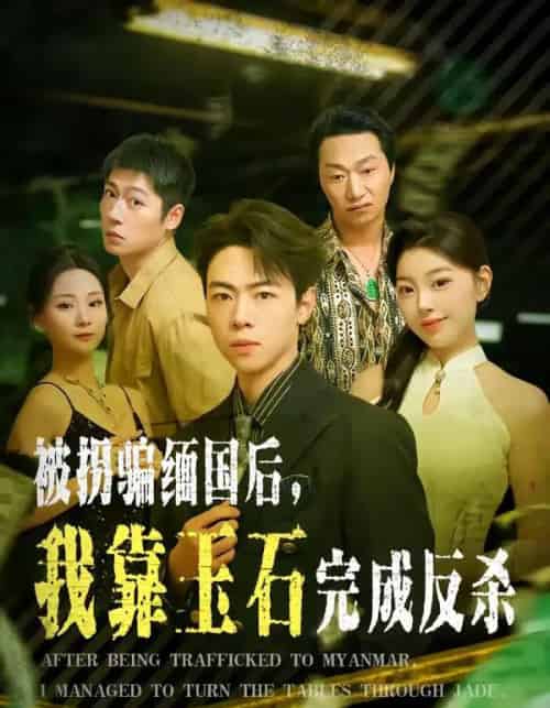 被拐骗缅国后,我靠玉石完成反杀(80集全)魏星亦&张曼-紫橙资源网