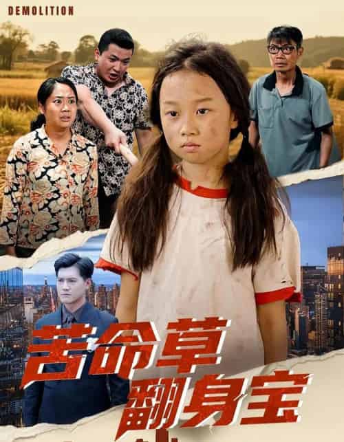 苦命草翻身宝（62集全）朱钰琪＆何强-紫橙资源网