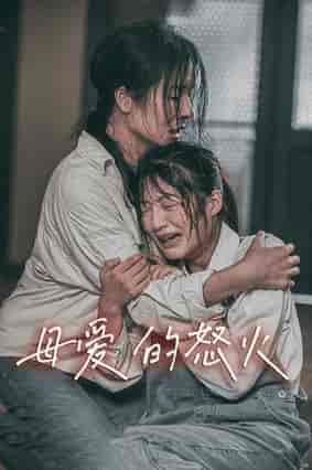 母爱的怒火（28集）-紫橙资源网