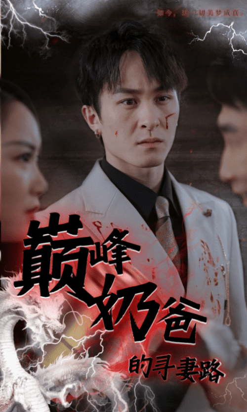 巅峰奶爸的寻妻路(87集)-紫橙资源网