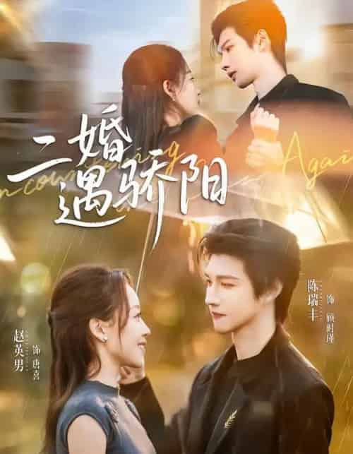 二婚遇骄阳(50集全)陈瑞丰&赵英男-紫橙资源网