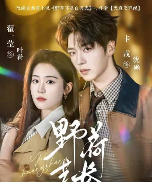 野荷荒长（86集全）卡戎＆翟一莹-紫橙资源网