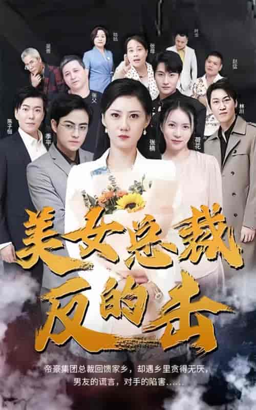 新版：美女总裁的反击（150集）-紫橙资源网