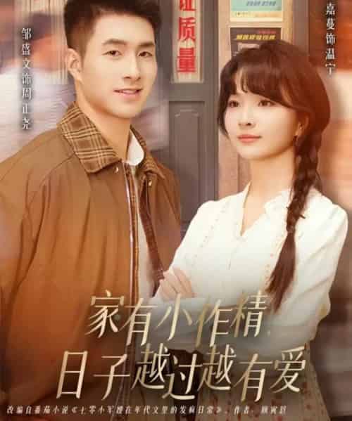 家有小作精日子越过越有爱（80集全）刘嘉蔓＆邹盛文-紫橙资源网