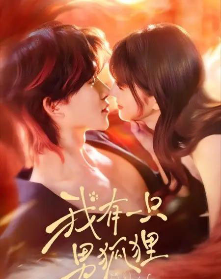 我有一只男狐狸(48集全)张集骏&田甜一-紫橙资源网