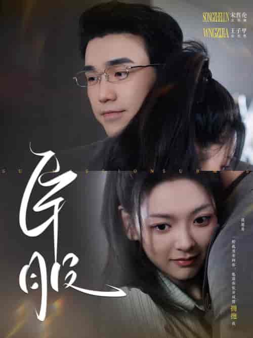 臣服（95集全）-紫橙资源网