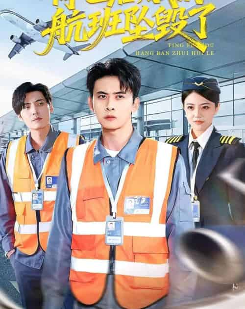 停飞后,我的航班坠毁了(100集全)刘渝展&李宣锦-紫橙资源网