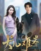 犬儿难养（38集）张炘童-紫橙资源网