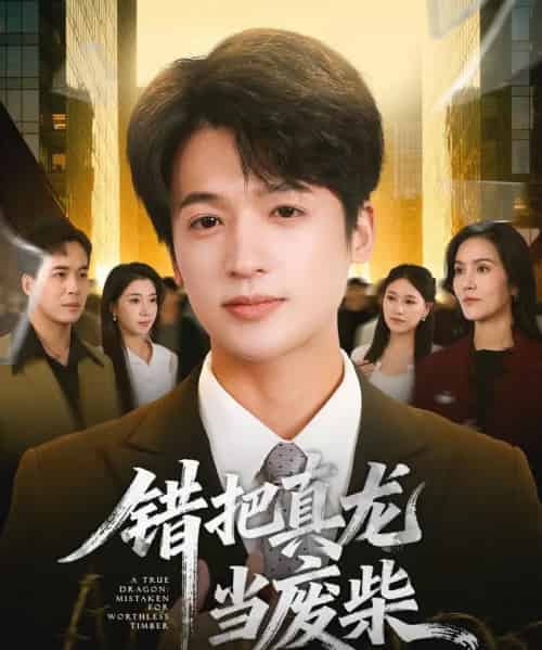 错把真龙当废柴（71集全）博之＆张翎月-紫橙资源网