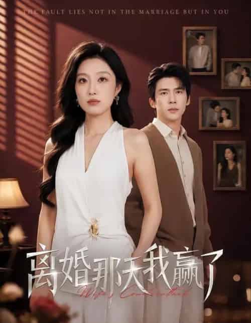 离婚那天我赢了(60集全)韩惟&冯思源-紫橙资源网