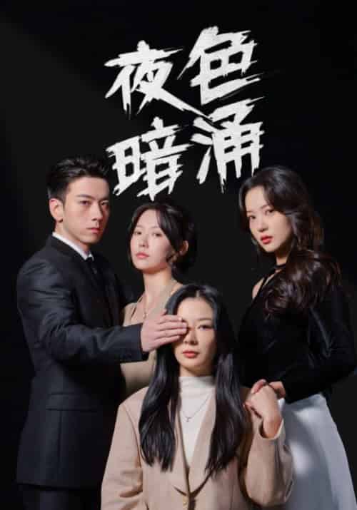 夜色暗涌（48集全）秦令＆苏言-紫橙资源网