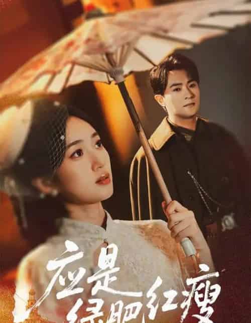 应是绿肥红瘦（111集全）杨文昊＆史小叶-紫橙资源网