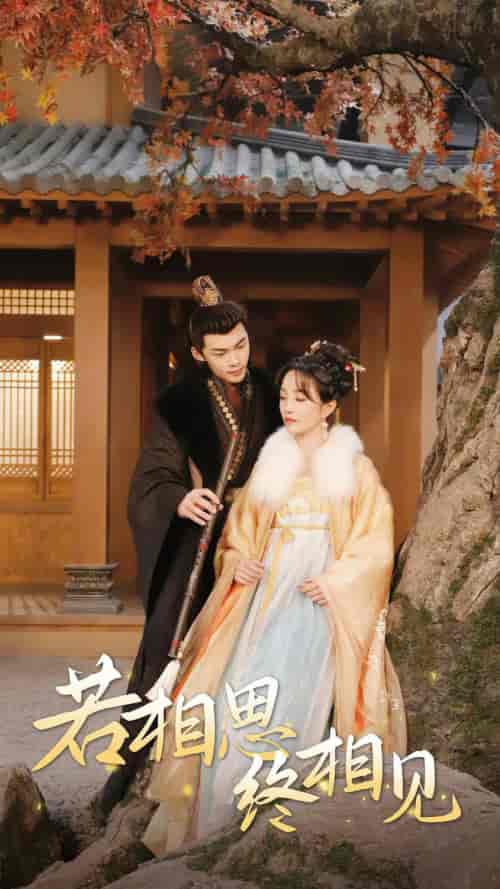 若相思，终相见＆侯爷的双世小悍妻（85集）-紫橙资源网