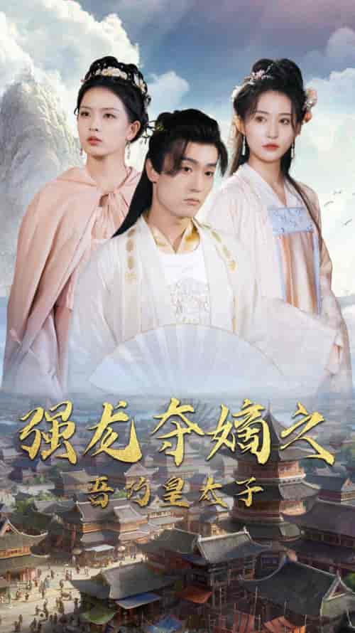 强龙夺嫡之吾乃皇太子（104集）-紫橙资源网