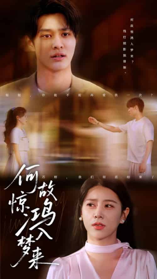 何故惊鸿入梦来（59集全）胡春源＆徐海文-紫橙资源网