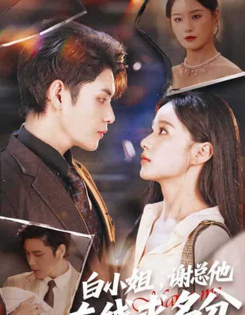 白小姐，谢总他在线求名分（56集全）张志伟＆王宇婧-紫橙资源网