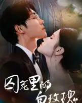 囚笼里的白玫瑰（59集全）李明轩 - 紫橙短剧