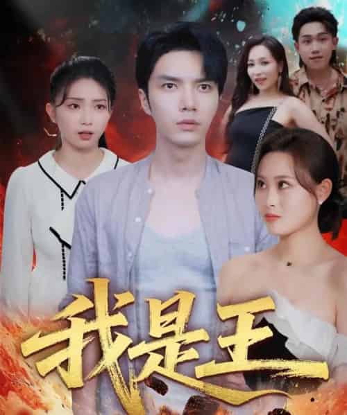 我是王（70集全）史庭赫＆卫子千-紫橙资源网