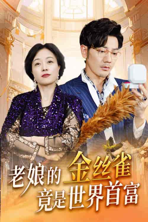 老娘的金丝雀竟是世界首富 老娘的金丝雀竟是世界首富