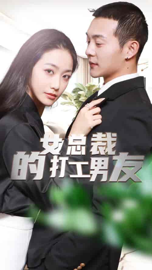 女总裁的打工男友（90集）-紫橙资源网