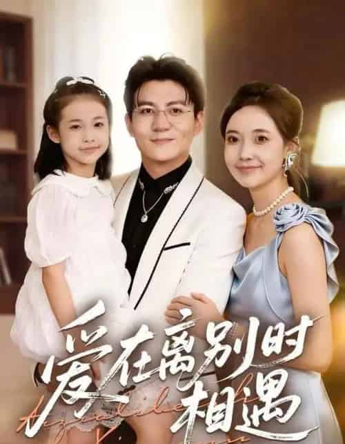 爱在离别时相遇(60集全)刘琪&朱元政&桂羽灿-紫橙资源网