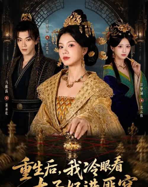 重生后,我冷眼看太子妃进匪窝(60集全)庄芈僮&马鹰露-紫橙资源网