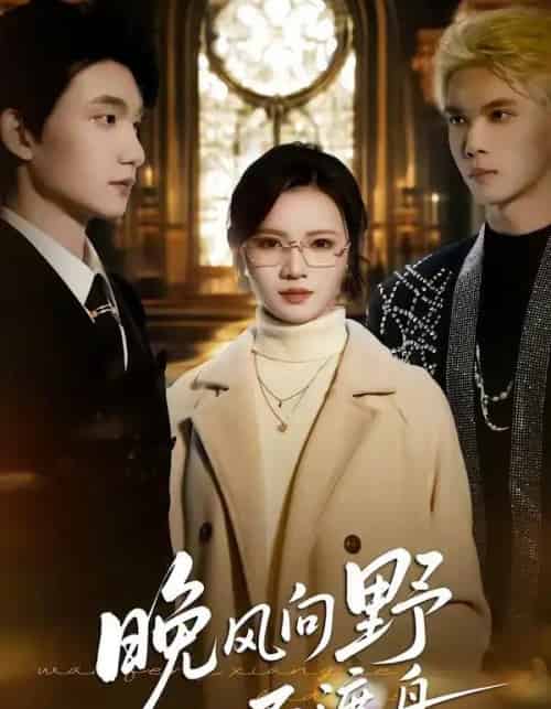 晚风向野不渡舟(60集全)丁紫嫣&李昊成-紫橙资源网