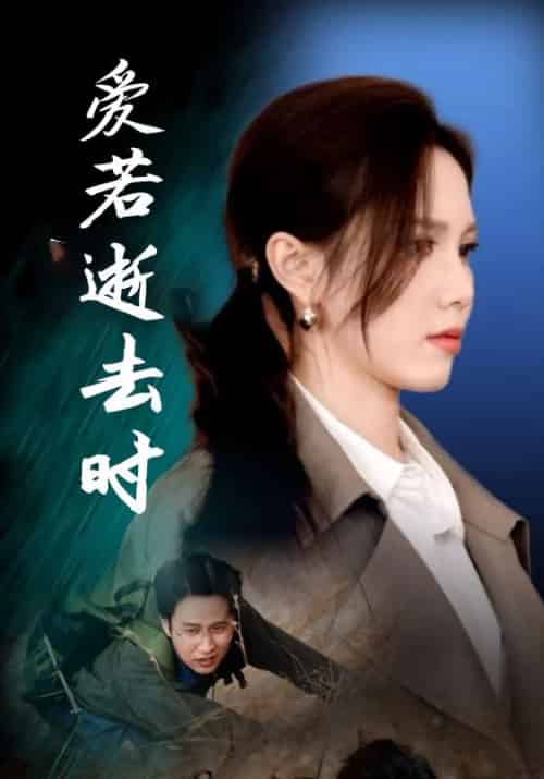 爱若逝去时（76集全）宋政＆顾时宜-紫橙资源网