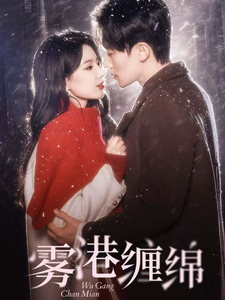 雾港缠绵（100集）-紫橙资源网