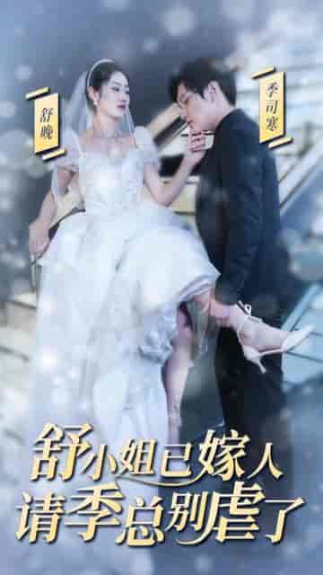 别虐了，那是小小姐（永远记得你）（79集）-紫橙资源网