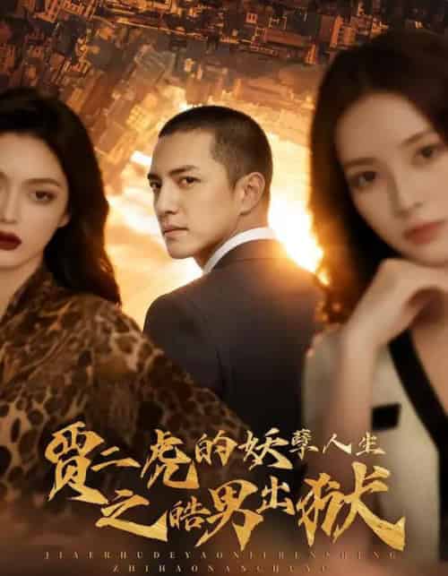 贾二虎的妖孽人生之皓男出狱(75集全)AI-紫橙资源网