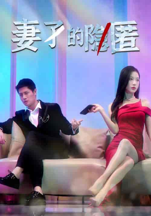 妻子的隐匿（73集全）赵光年＆潘娜娜-紫橙资源网