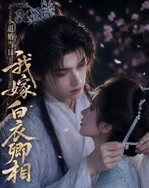 退婚当日我嫁白衣卿相（40集全）AI-紫橙资源网