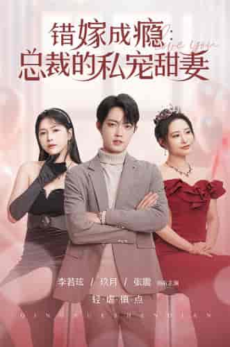 错嫁成瘾：总裁的私宠甜妻（95集）-紫橙资源网